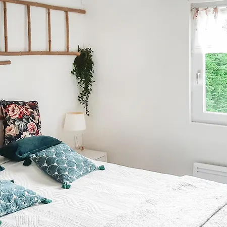 Cozy In With Kitchen Hotel